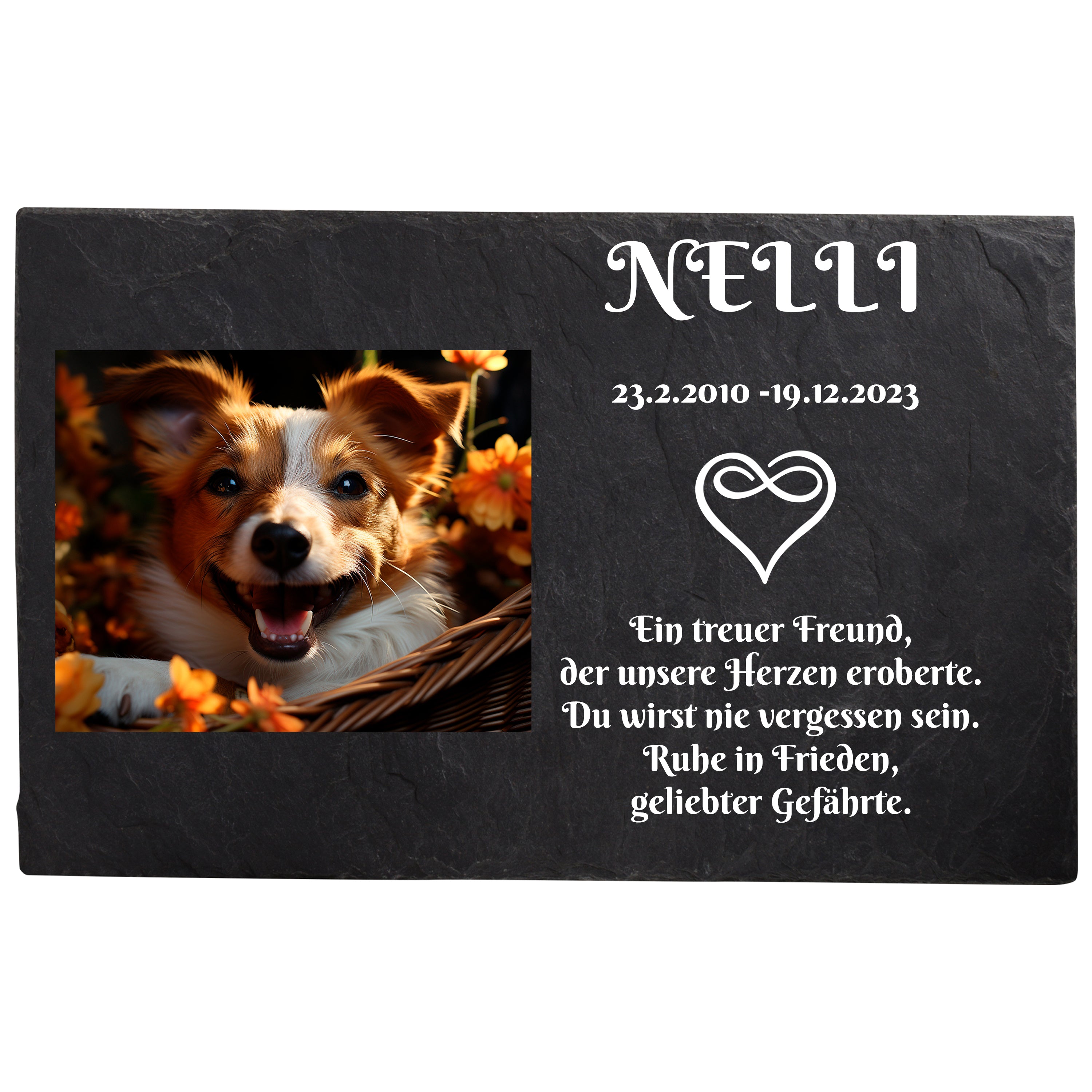 Targa tombale cane e gatto con foto e incisione | Lapide lapide commemorativa resistente alle intemperie con lapide di animali con foto 20x30 cm